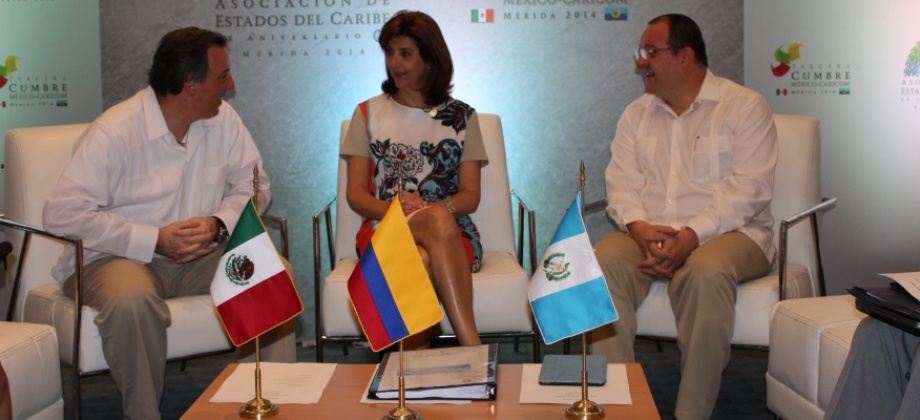 Canciller Holguín se reunió con sus homólogos de México y Guatemala para hablar del problema mundial de las drogas